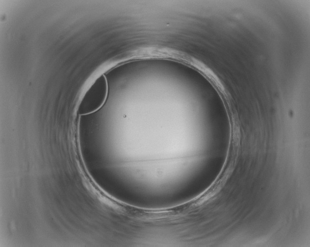 X0000080201486200612081415