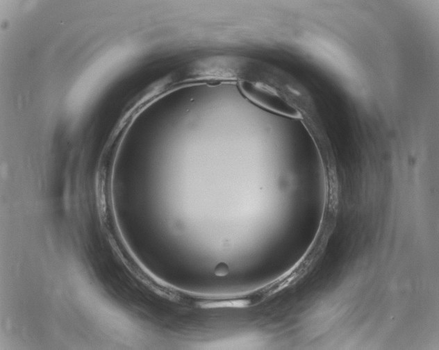 X0000080201487200612081415