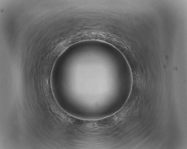 X0000080201489200612081414