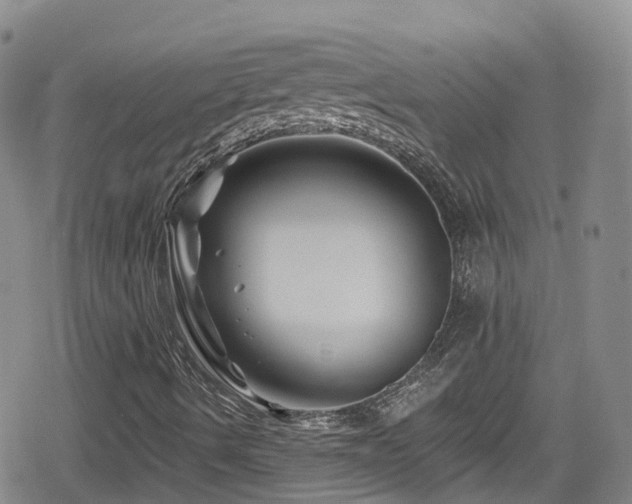 X0000080201490200612081414