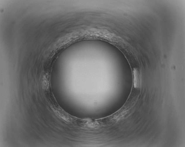 X0000080201491200612081414