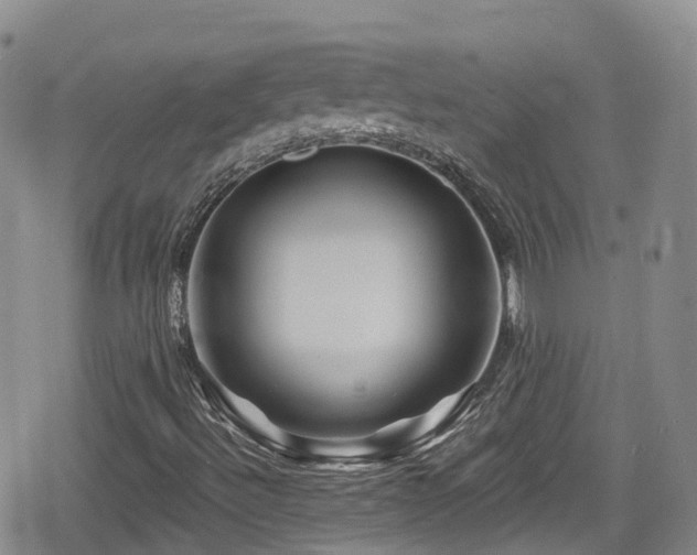 X0000080201492200612081414