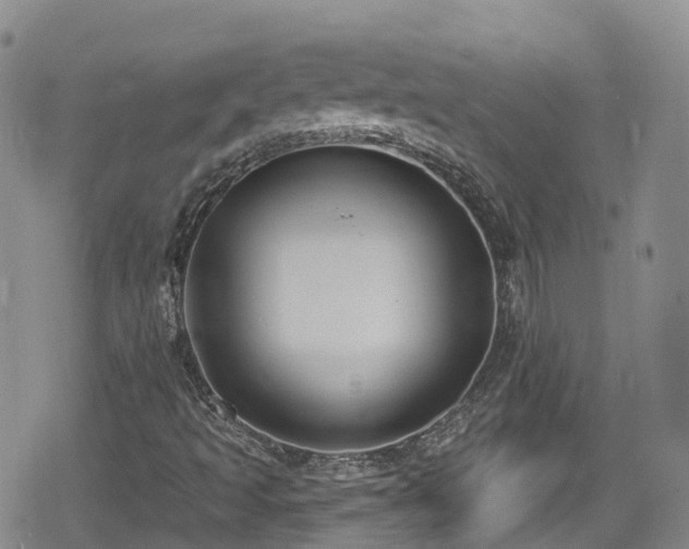 X0000080201493200612081414