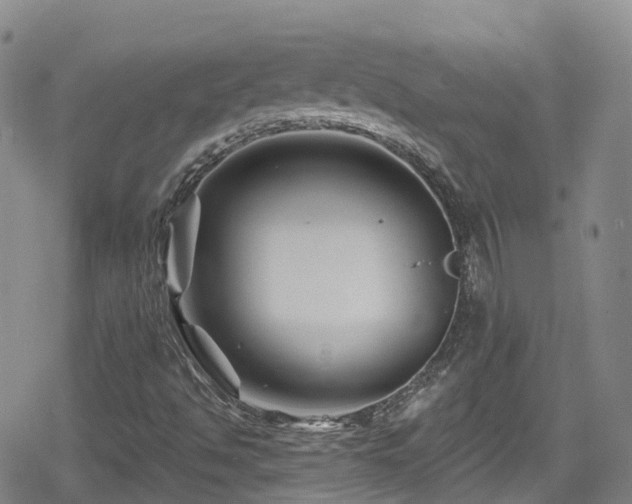 X0000080201494200612081414