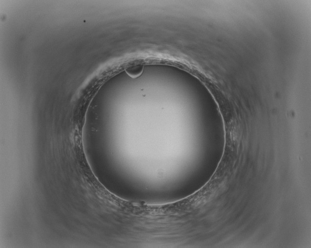 X0000080201495200612081414