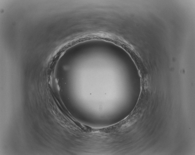 X0000080201496200612081414