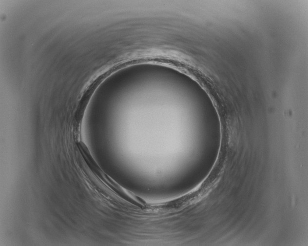 X0000080201497200612081414