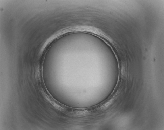 X0000080201498200612081414