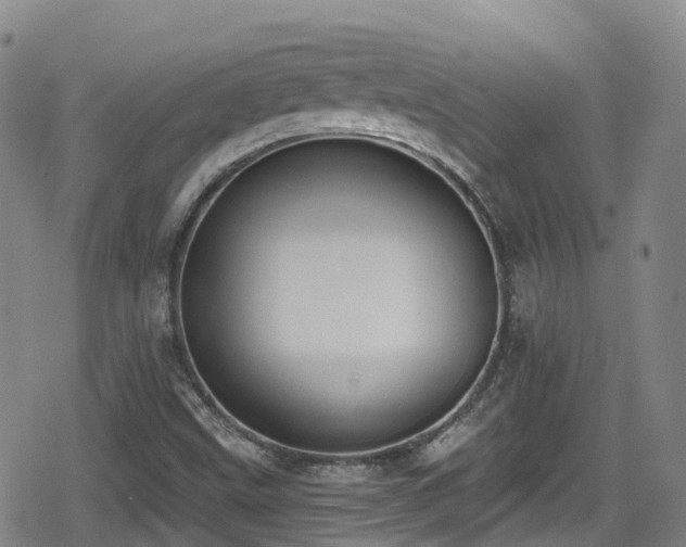 X0000080201499200612081414