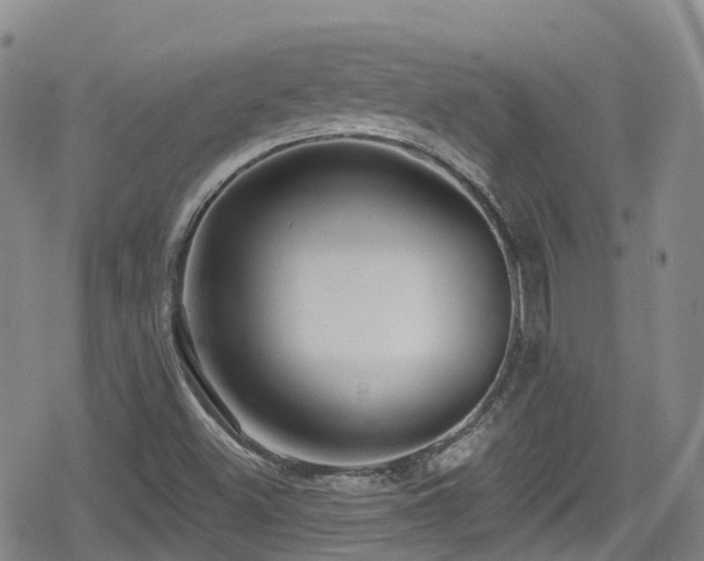 X0000080201500200612081414