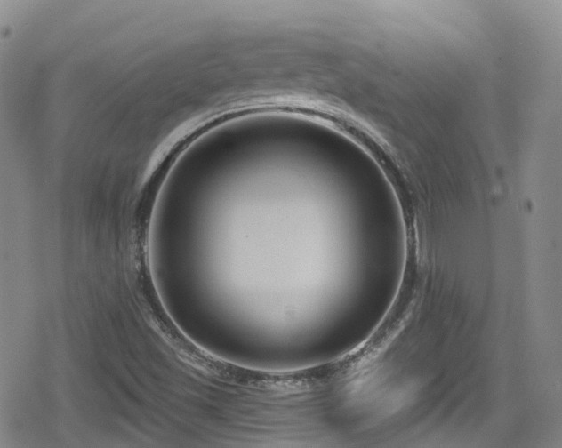 X0000080201501200612081414