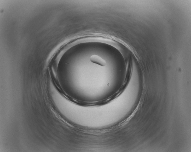 X0000080201502200612081414