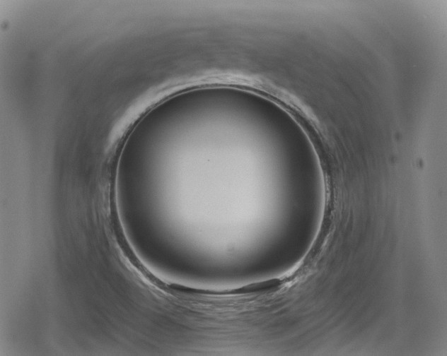 X0000080201504200612081414