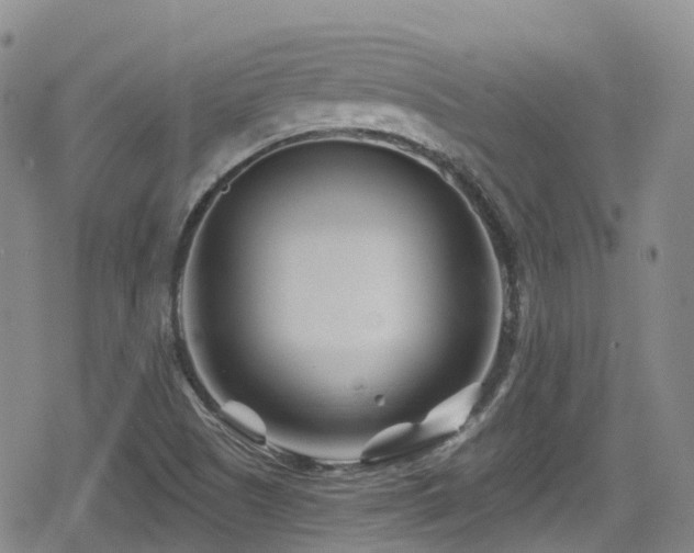 X0000080201505200612081414