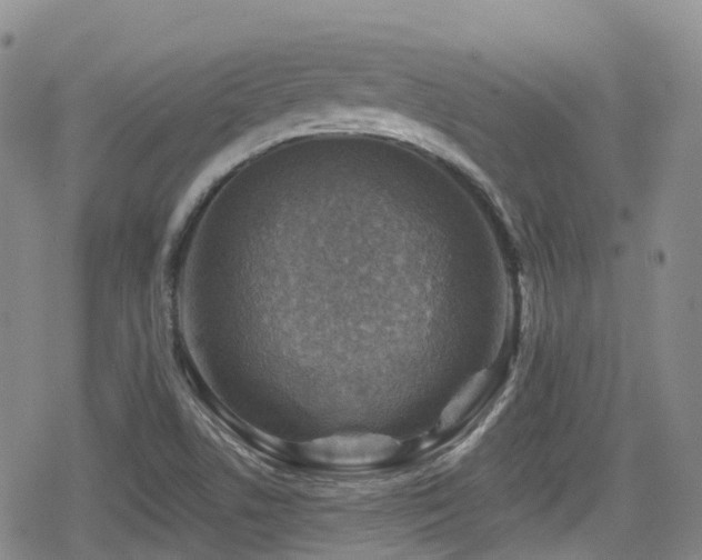 X0000080201506200612081414