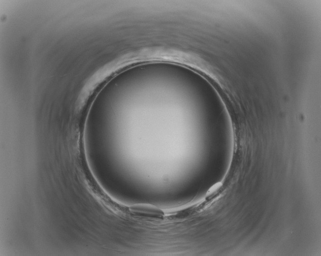 X0000080201507200612081414