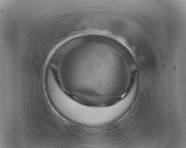 X0000080201508200612081414