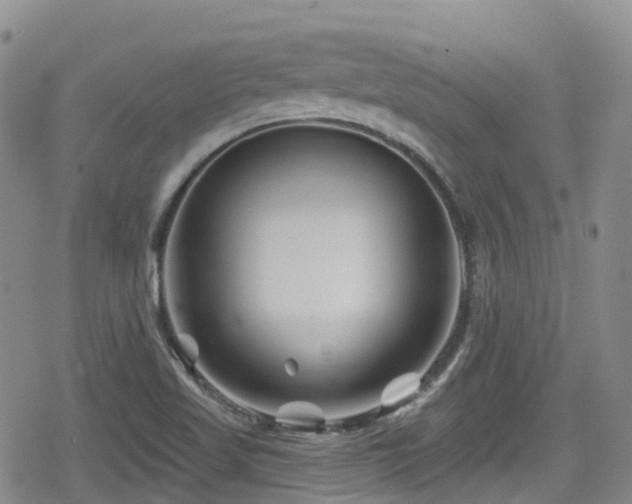 X0000080201509200612081414