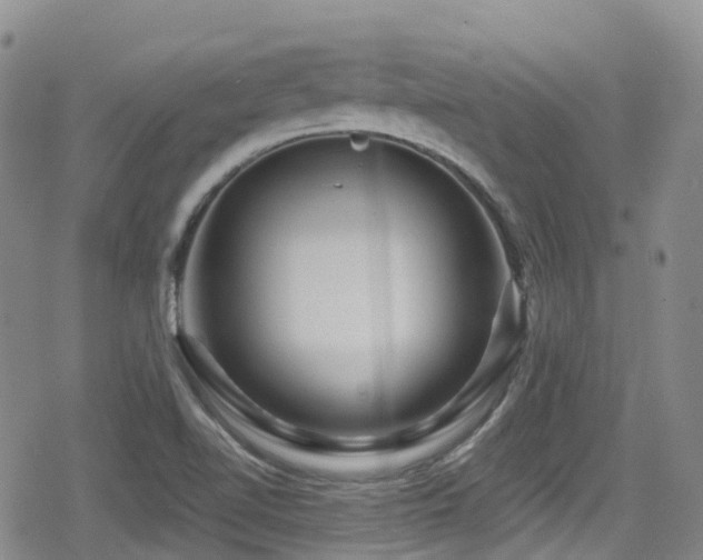 X0000080201510200612081414