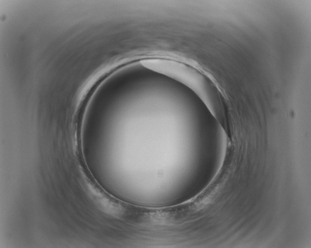 X0000080201511200612081414