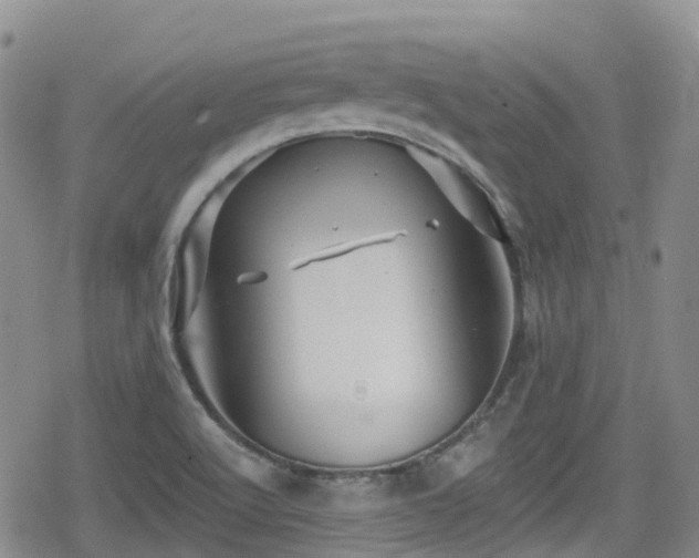 X0000080201512200612081414