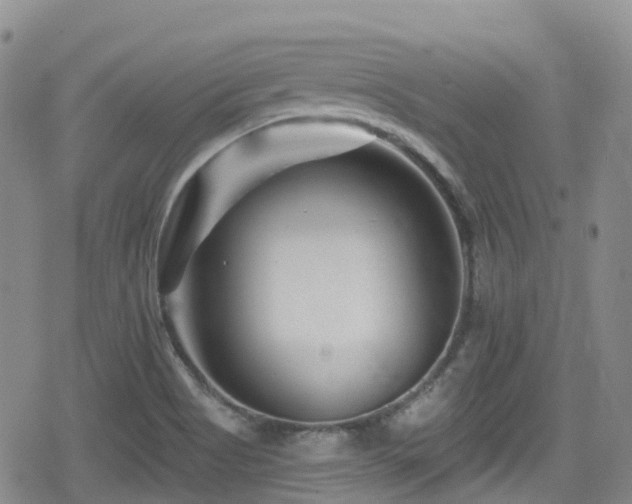 X0000080201513200612081414