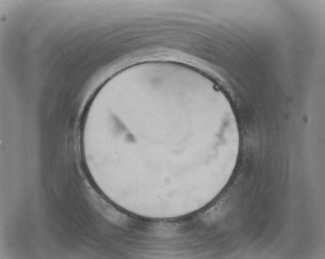 X0000080201514200612081414