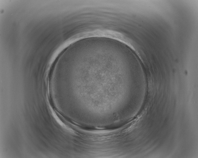 X0000080201515200612081414