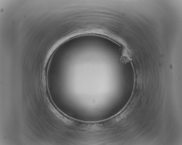 X0000080201516200612081414