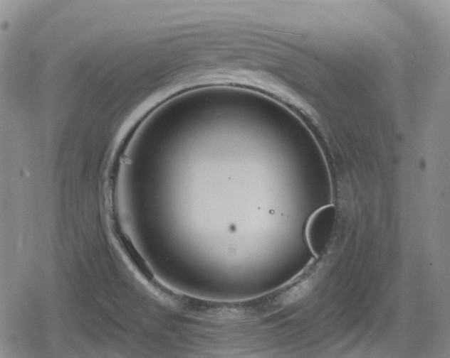 X0000080201517200612081414