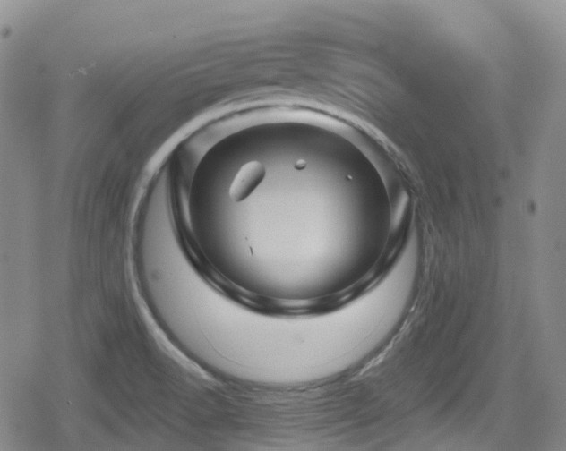 X0000080201518200612081414