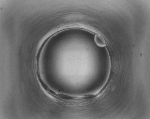 X0000080201519200612081414