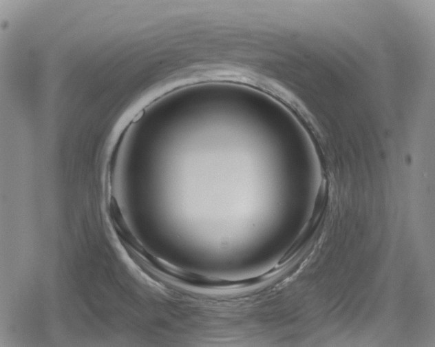 X0000080201520200612081414