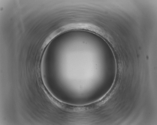 X0000080201521200612081414