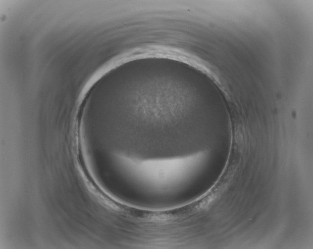 X0000080201522200612081414