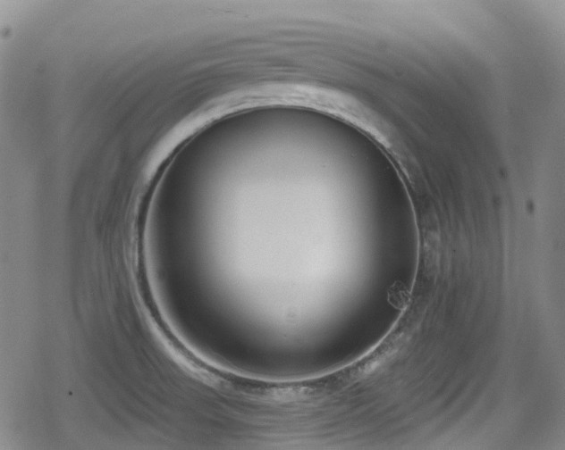 X0000080201523200612081414