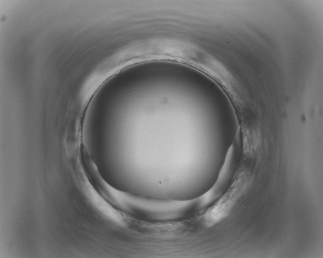 X0000080201524200612081414