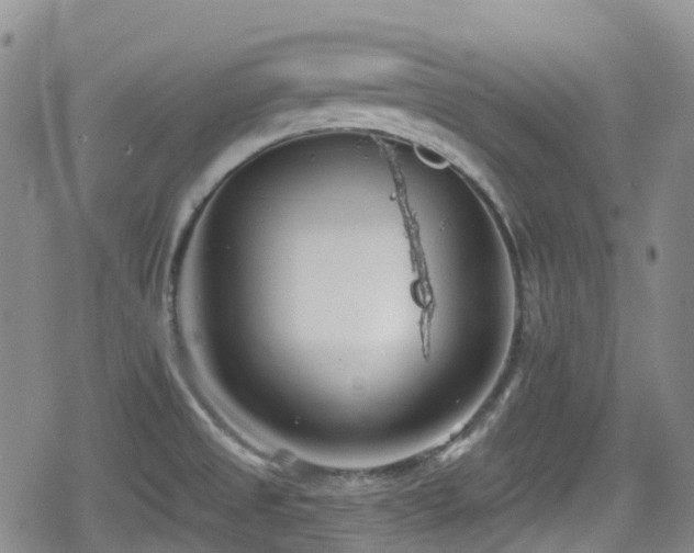 X0000080201525200612081414