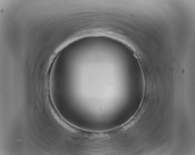 X0000080201526200612081414