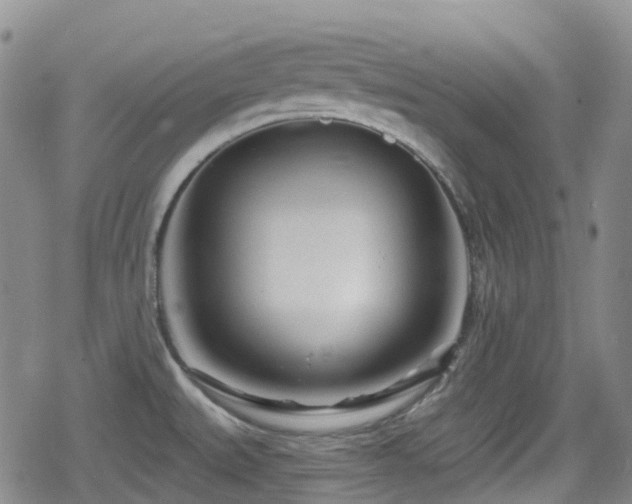 X0000080201527200612081414