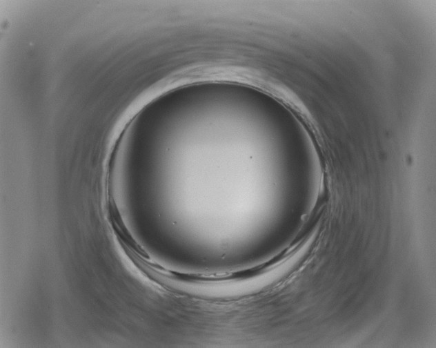 X0000080201528200612081414