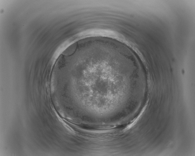 X0000080201529200612081414