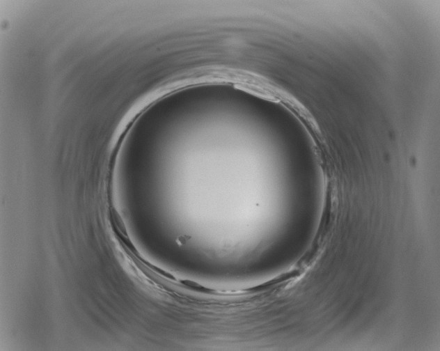 X0000080201530200612081414