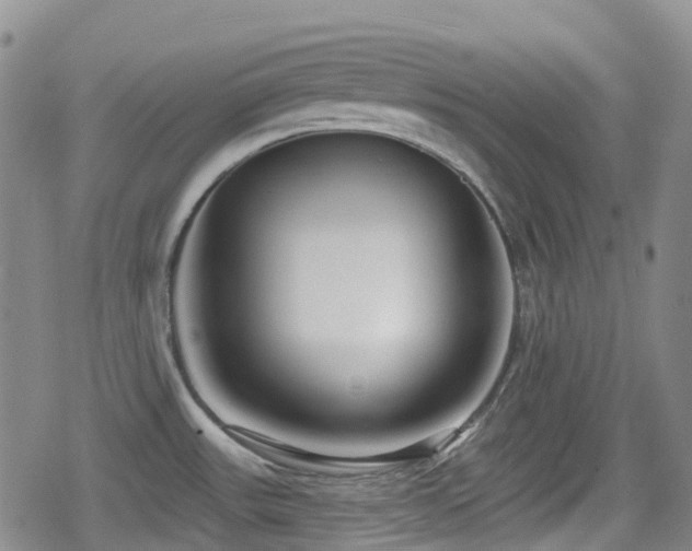 X0000080201531200612081414