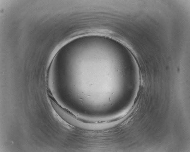 X0000080201532200612081415