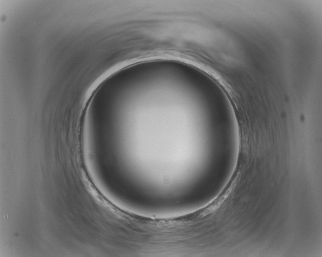 X0000080201534200612081415