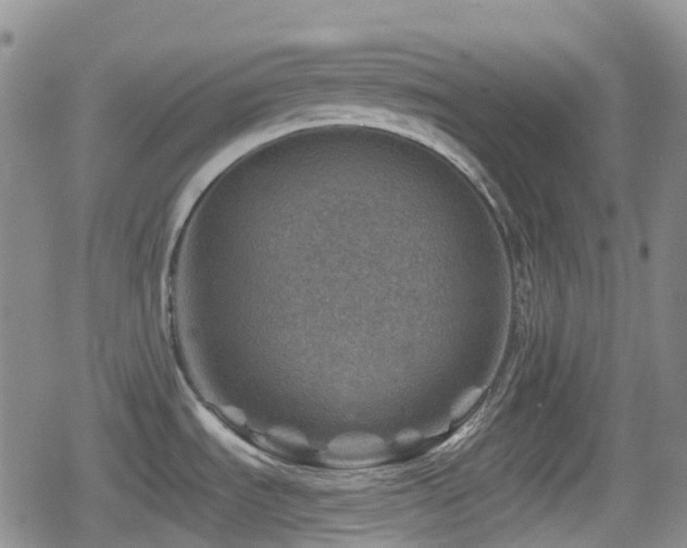 X0000080201535200612081415