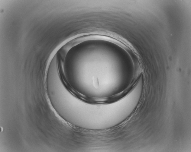 X0000080201536200612081415