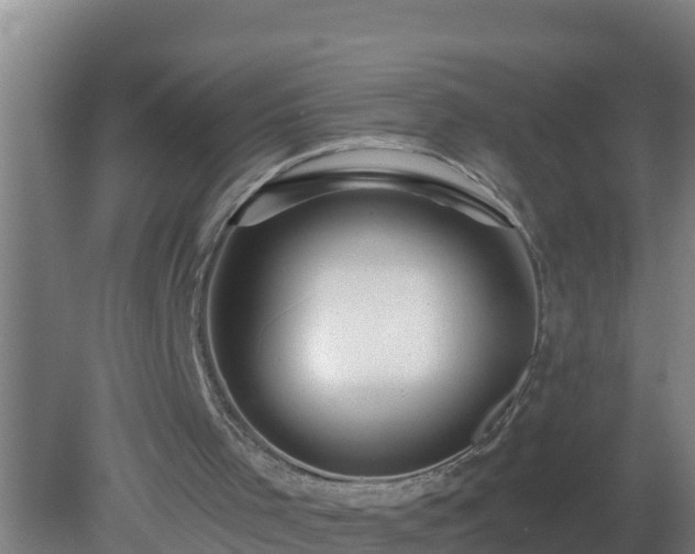 X0000080200001200612152052