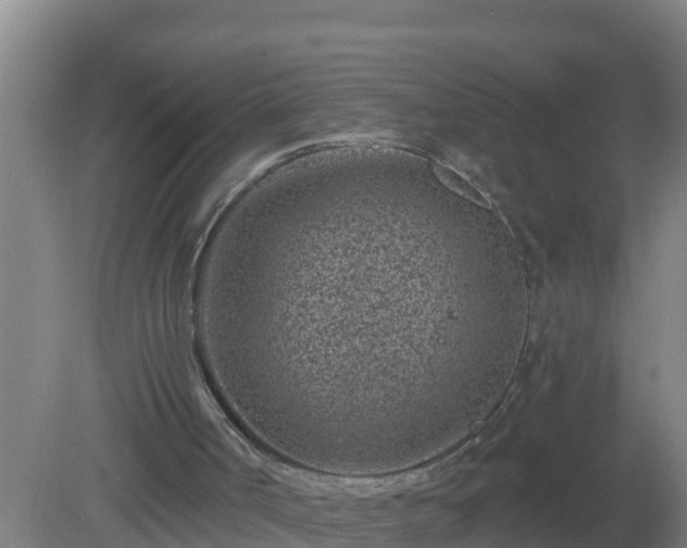 X0000080200002200612152052